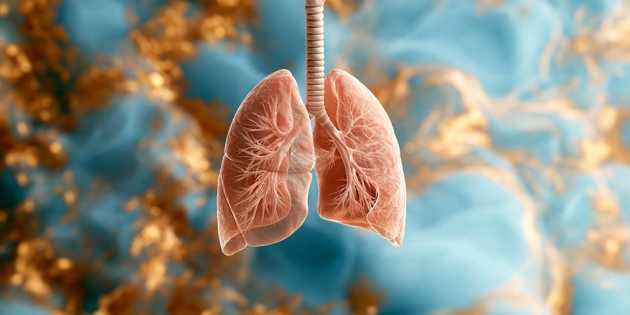 Illustration of lungs against an abstract background